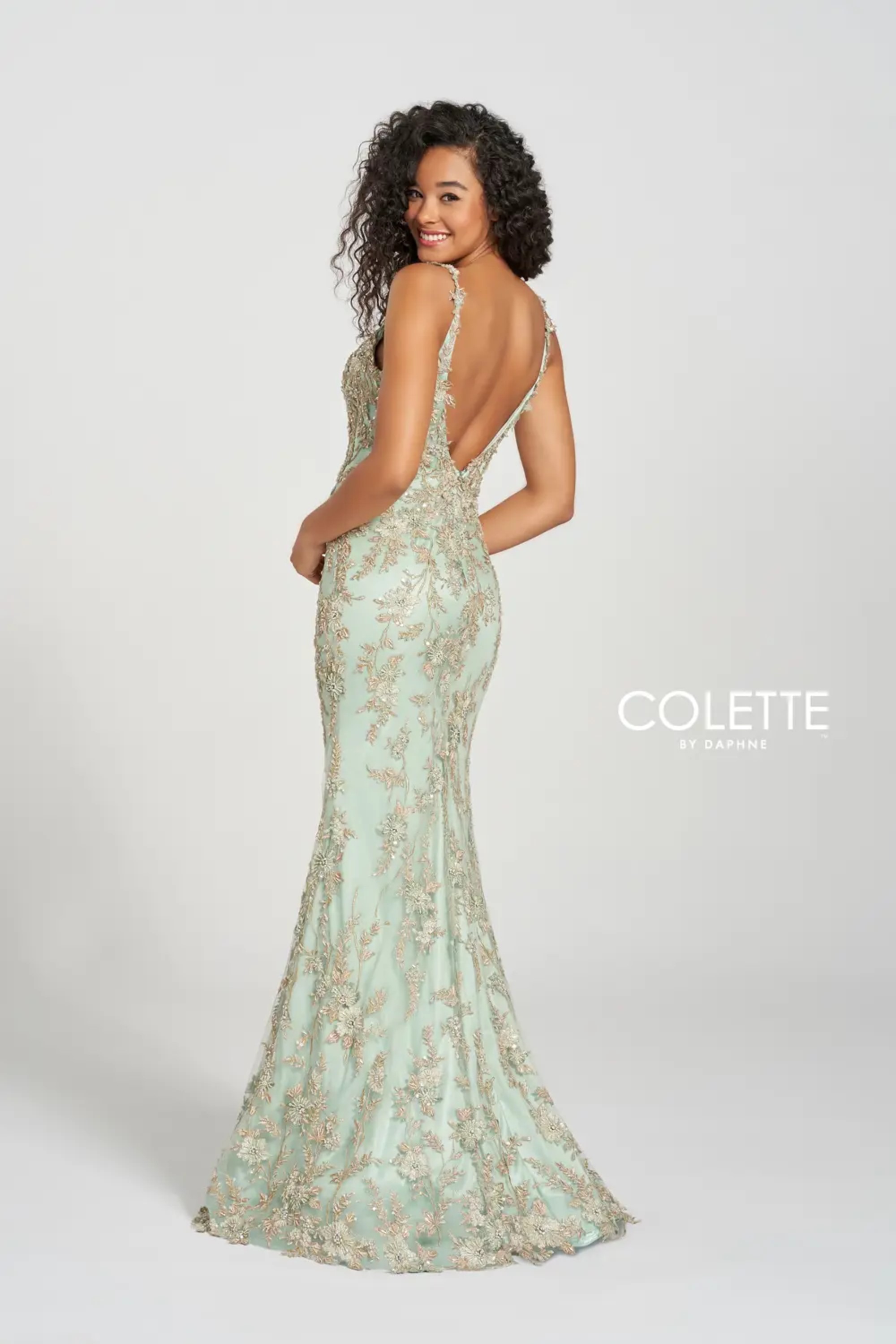 Full size Style CL12203 Colette by Daphne #$2 Ivy picture