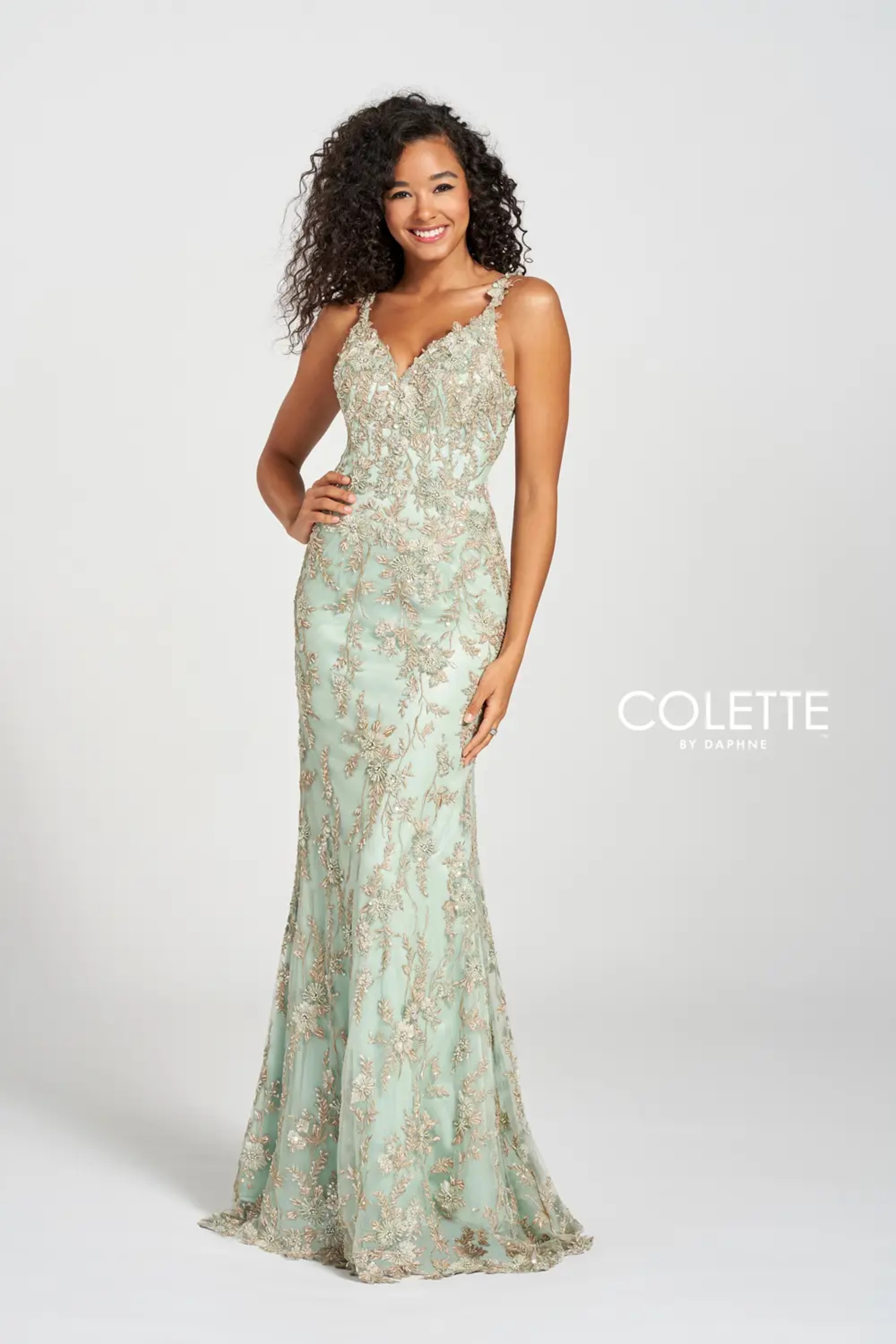Full size Style CL12203 Colette by Daphne #$0 Ivy picture