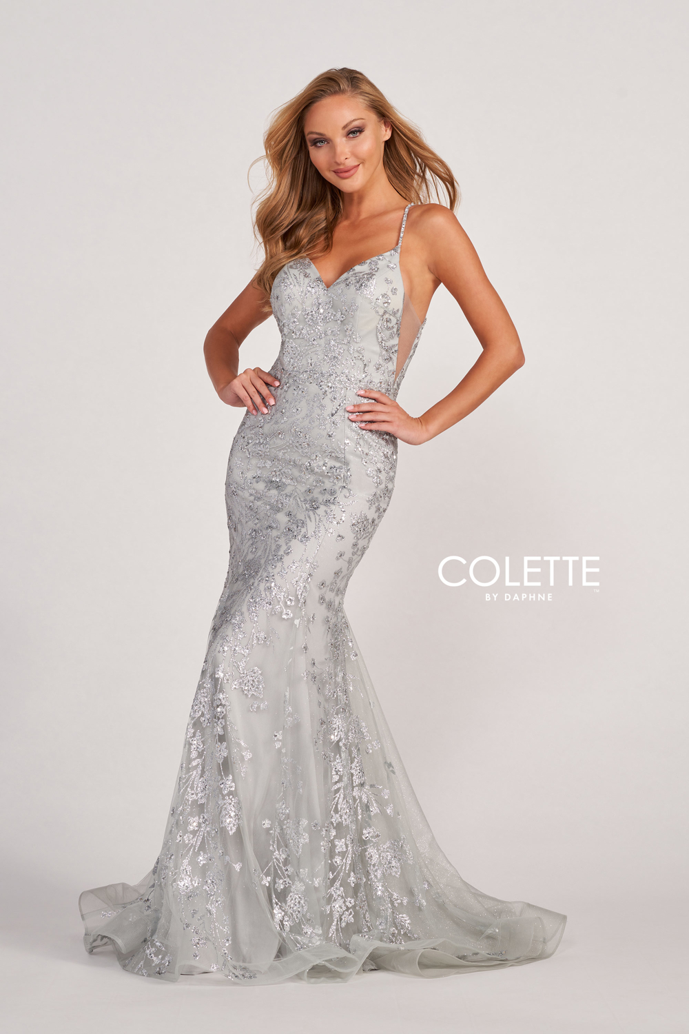 Full size Style CL2076 Colette by Daphne #$2 Silver picture
